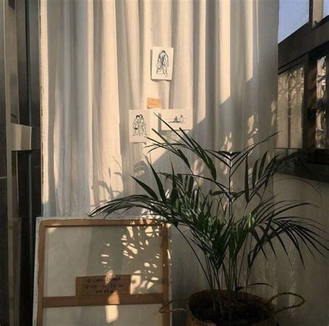 기사 4회 추가 실시 한다네요. '큐넷시험연기' 태그의 글 목록
