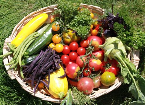 Notre mission est de vous nous faisons tout pour rendre le bio accessible à tous, tout en maintenant un niveau de qualité élevé. Panier de légumes de l'EPSH - École professionnelle de ...