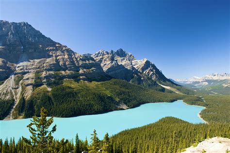Icefields Parkway Travel Canada Lonely Planet