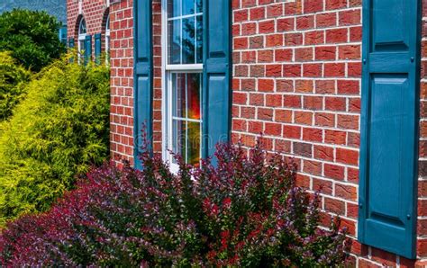 Bushes And Front Of Brick House With Blue Shutters Stock Photo Image