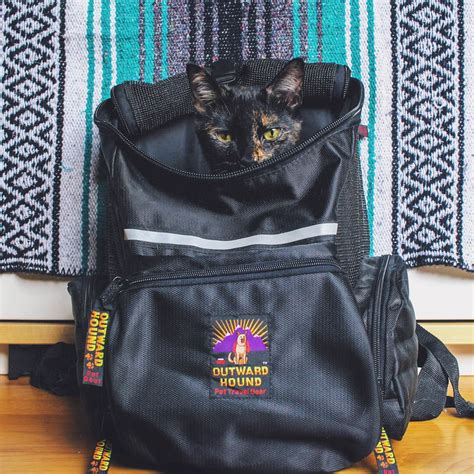 What Backpacks Are Best For Cats Adventure Cats