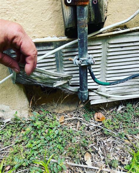 Termite Treatment Miami Protecting Your Home From Silent Invaders