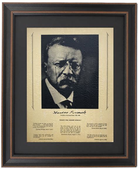 Alcott Hill Theodore Roosevelt Portrait And Quotes Picture Frame