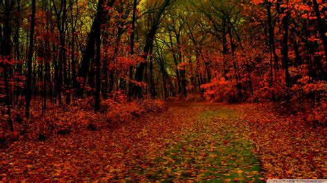 Autumn Scenes Desktop Wallpapers Top Free Autumn Scenes Desktop