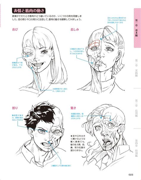 023 Manga Tutorial Manga Drawing Tutorials Drawing Examples Basic