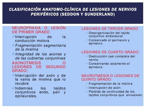 Clasificacion Lesion Nerviosa