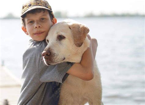 Las Razas De Perros Más Adecuadas Para Niños Autistas Empatía Y Terapia Con Mascotas Vida Con