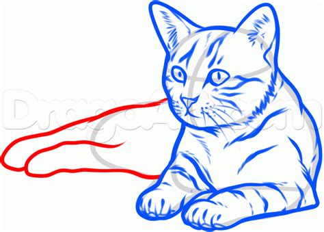 How To Draw A Cat Laying Down Easy ~ Cat Line Drawing Images Stock