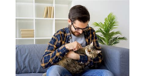 5 Ways to Prepare for a New Furry Companion