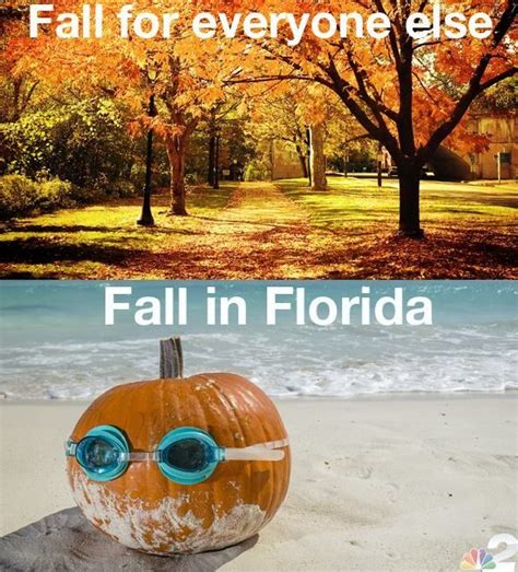 an orange pumpkin with goggles sitting on top of it in the sand and trees