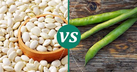 Fava Beans Vs Lima Beans Choose Wisely