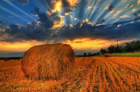 Hay Bales At Sunset I Was Never Quite Happy With The Proce Flickr