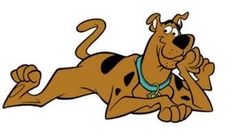 Scooby doo is everything that is the diametrical opposite of a purebred. What Type of Dog Is Scooby Doo, Boo, Snoopy, & Other Famous Dogs - K9 of Mine