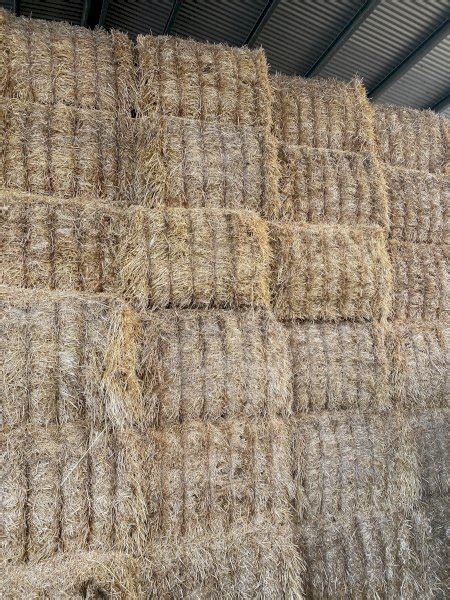 Barley Straw 500kg 8x4x3 Bales Farm Tender