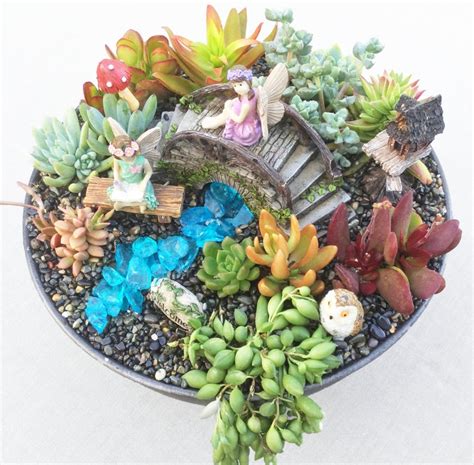 Large Diy Succulent Fairy Garden T Kit With Brushed Metal Etsy