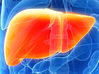You're welcome to browse our website for additional information on this particular topic. Liver Disease | NIDDK