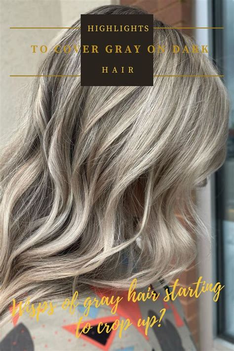 Best Professional Permanent Hair Color To Cover Gray Calming Log Book