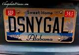 How Much Does It Cost To Get New License Plates
