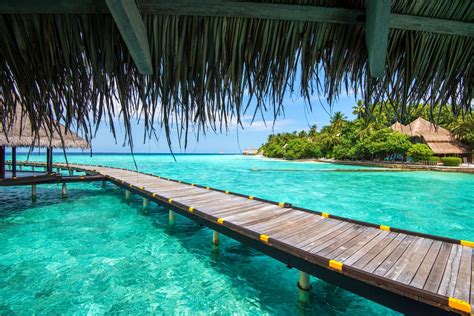 Maldives Resort Sea Beach Tropical Palm Trees Summer Ocean