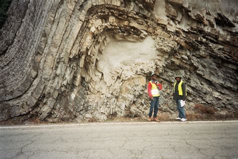 Anticline The Petroleum Geologists Rainbow Bona Naija