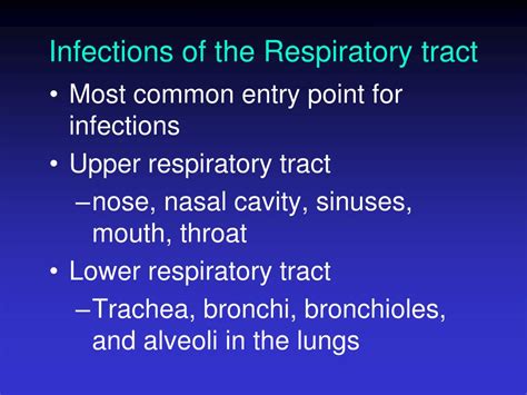 Ppt Upper And Lower Respiratory Tract Infections Powerpoint