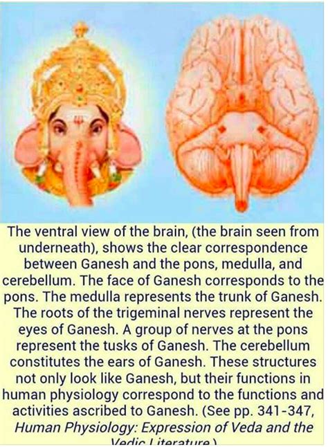 Pin By Bharati Satam On Ancient Sacred Science Ancient History Facts