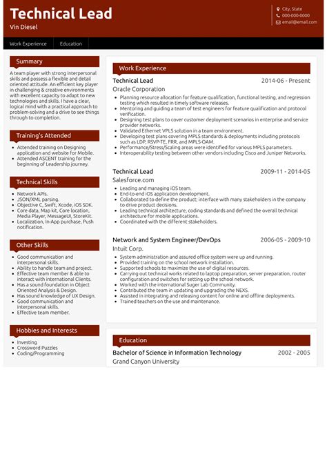 project lead resume sample