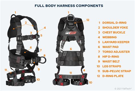 The Complete Guide To Full Body Safety Harnesses Updated 2024