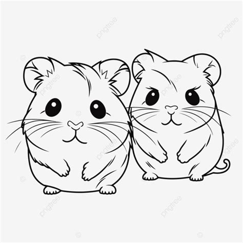 Desenho De Casal Hamsters Fofos Páginas Para Colorir Esboço Vetor PNG