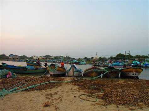 Silver Beach Cuddalore 2021 What To Know Before You Go With Photos