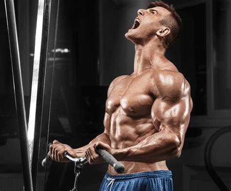 4 Biceps Workouts For Bigger Arms Thebodybuildingblog