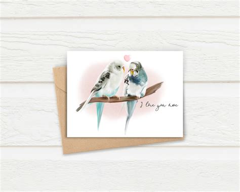 Budgie Card Parakeet Art I Love You More Budgerigars On Etsy