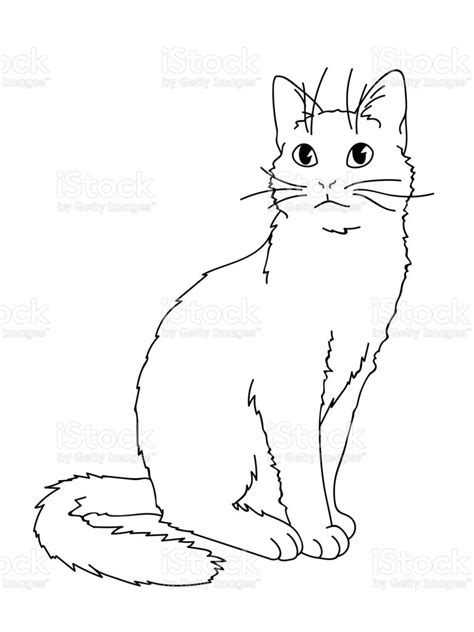 Cute Realistic Cat Sitting Vector Illustration Of Kitty