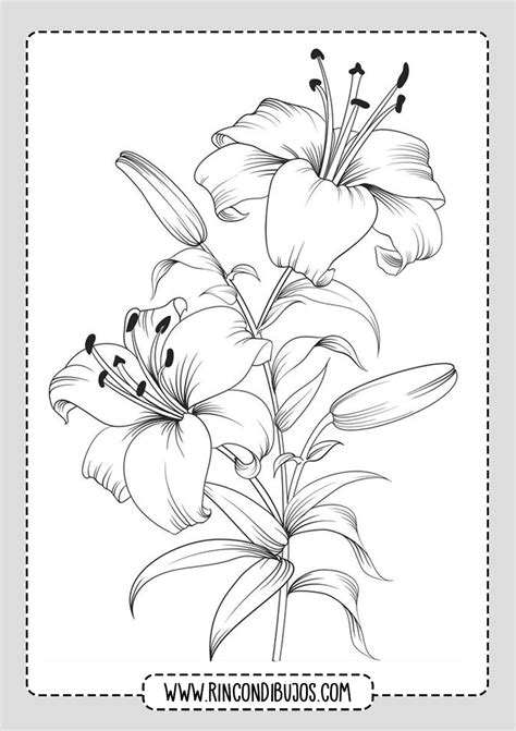 Dibujos De Flores Imagenes Y Dibujos Para Imprimir Reverasite