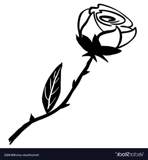 Black And White Rose Vector At Collection Of Black