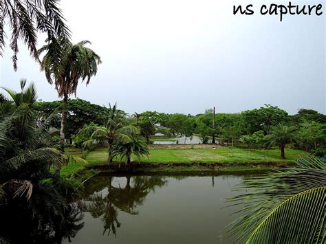 Filenatural Beauty Of Bangladesh Village Wikimedia