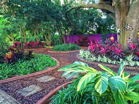 Image Result For South Florida Native Landscaping Palms Ideas Cheap