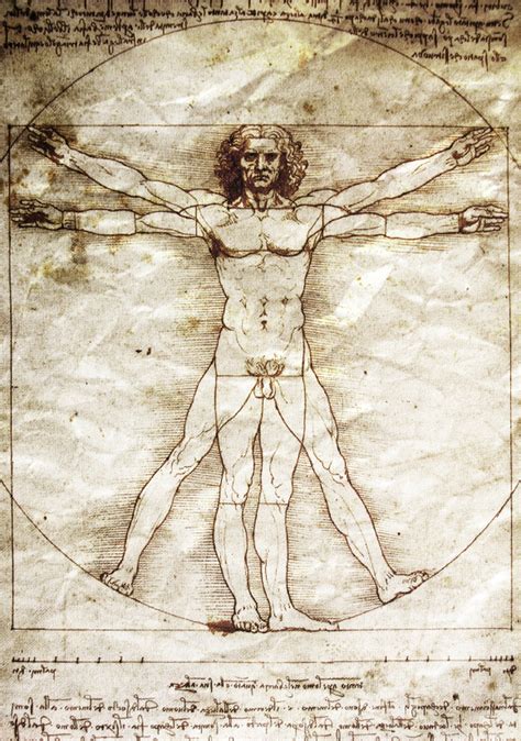 Da Vincis Ghost Lives On In The Vitruvian Man Wbur