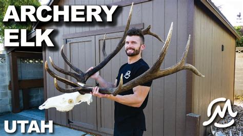 Utah Archery Elk Youtube
