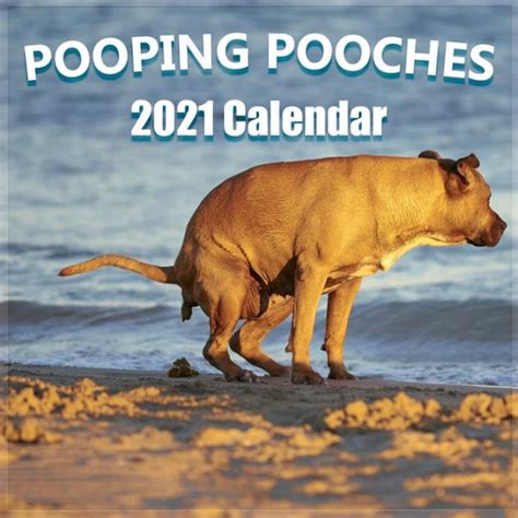 Pooping Pooches 2021 2022 Wall Calendar Hilarious Holiday T Guide