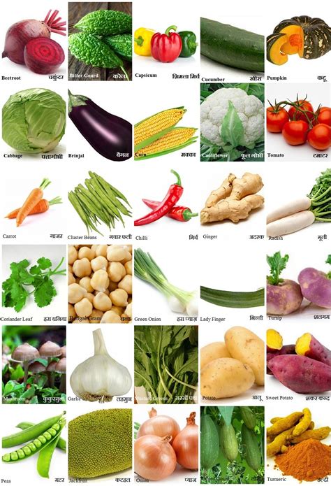 Vegetables Name List With Pictures