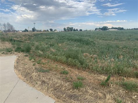 38.77 acres in Weld County, Colorado