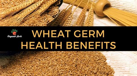 9 Amazing Benefits Of Wheat Germ Health Benefits Of Wheat Germ Youtube