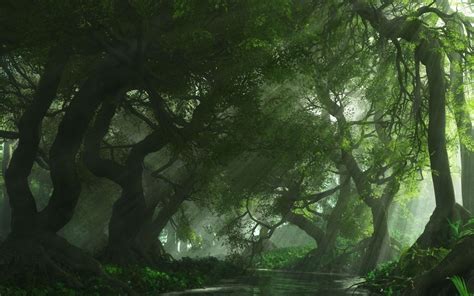 Free Download Morning Nature Spring Forest Road Haze Wallpaper