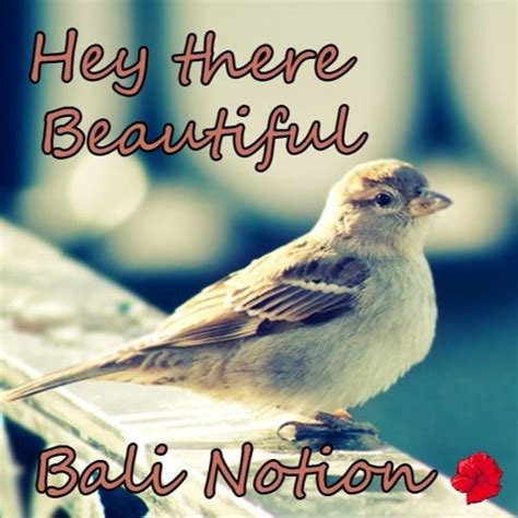 Bali Notion Hey There Beautiful Spinnin Records