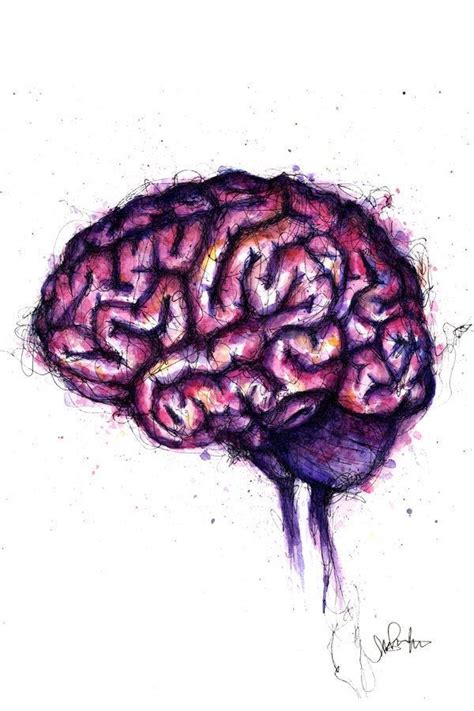 Brain Painting Ink Painting Brain Artwork Human Brain Drawing Dna