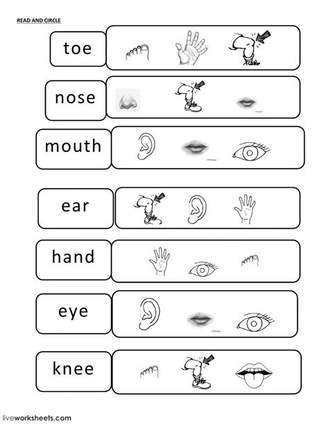 body parts interactive worksheet