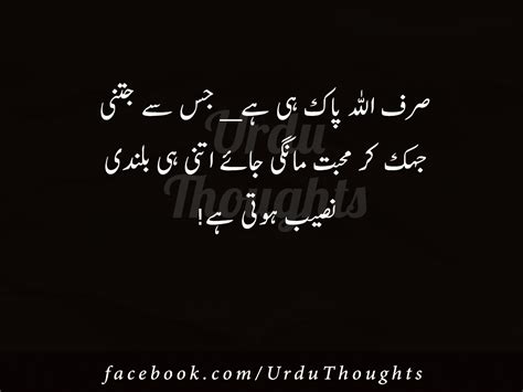 20+ Inspirational Islamic Quotes Images in Urdu | Urdu ... All high quality phone and tablet inspirational quotes on page 1 of 4 are available for free download.