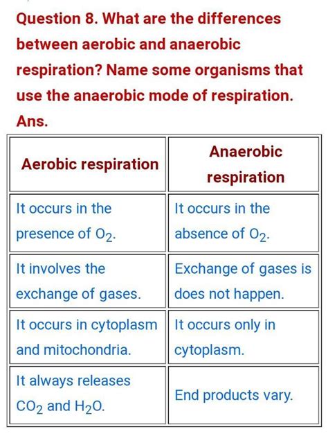 What Are Differences Between Aerobic And Anaerobic Respiration Name