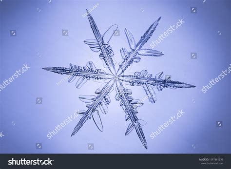 Real Snowflake Microscope Shot Stock Photo 1597861333 Shutterstock